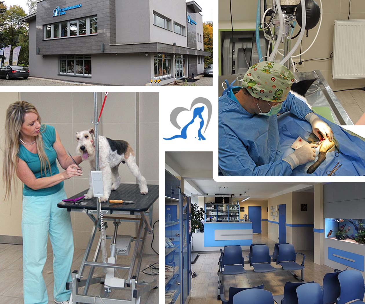 Veterinárna klinika Žilina - kontakt